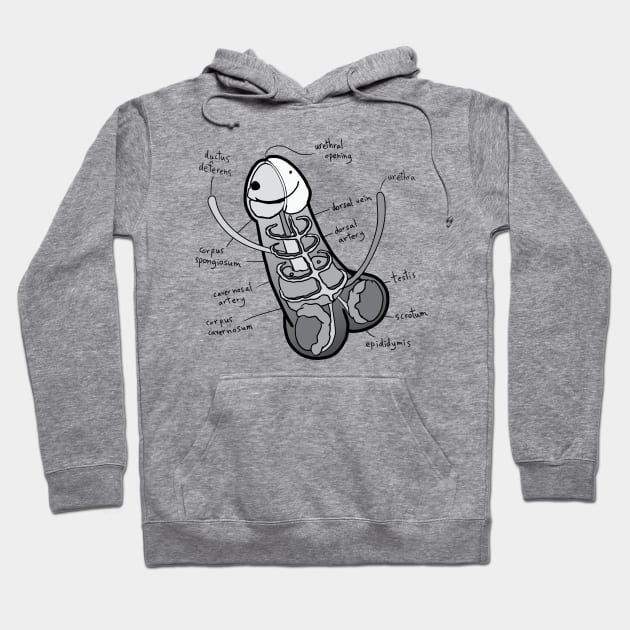 The Anatomy of a Penis - Greyscale Hoodie by HotDikkity